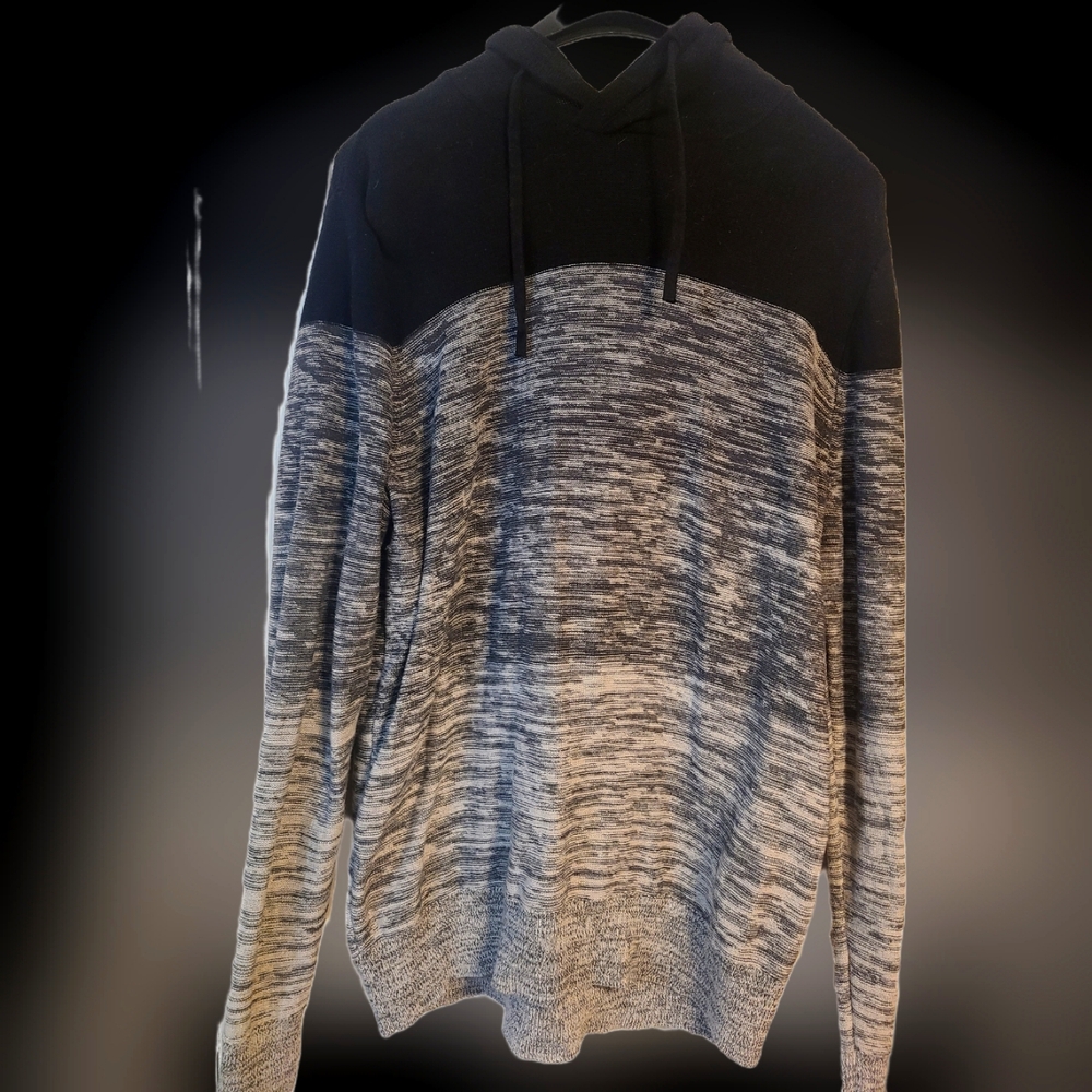 Express mens hooded sweater
